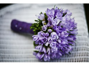 All Flowers All Flowers