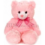 Pink teddy bear