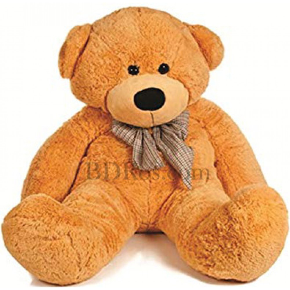 Lovely teddy bear