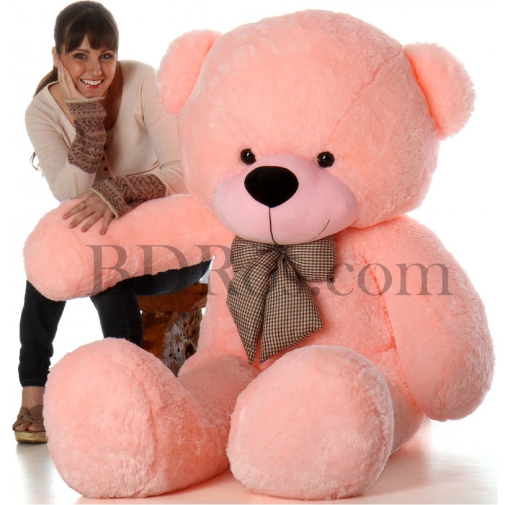 6 fit teddy bear