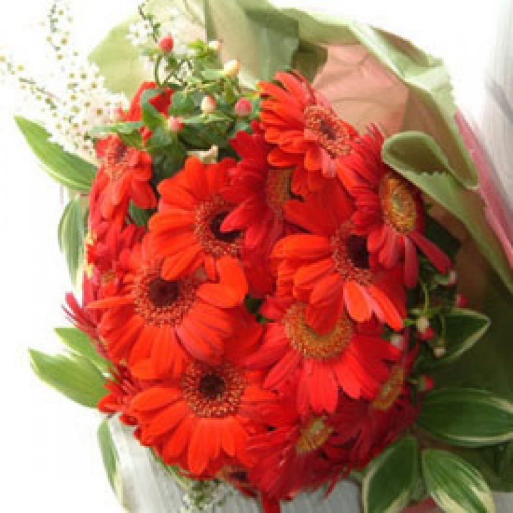 Red Gerbera Bouquet