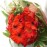 Red Gerbera Bouquet