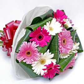 Mixed Gerberas