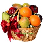 Holy Fruits