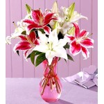 Gorgeous Lilies