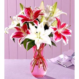 Gorgeous Lilies