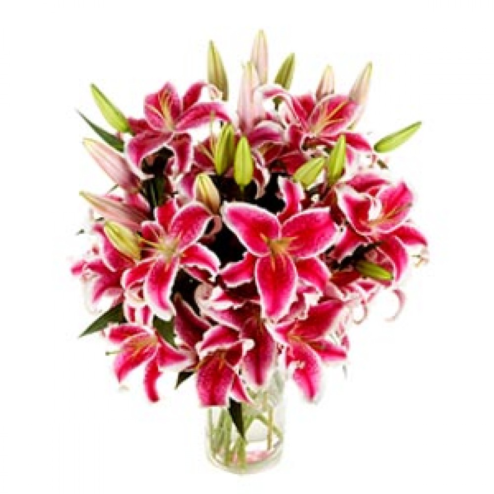 Cute Lilies