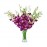 Orchid in a Vase