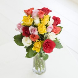 Mixed Roses