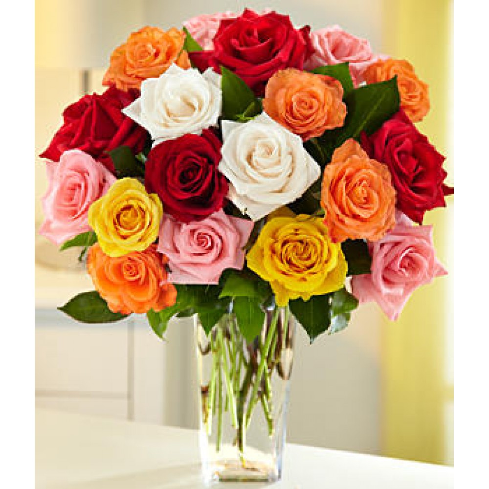 Assorted Roses