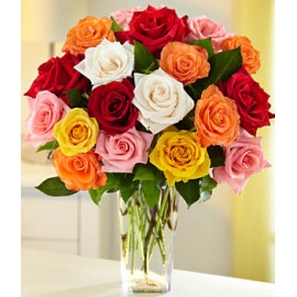 Assorted Roses