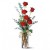 6pcs Red Roses  