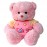 Small Pink Bear