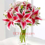 Charming Lilies