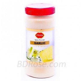 PRAN Spice Garlic Powder