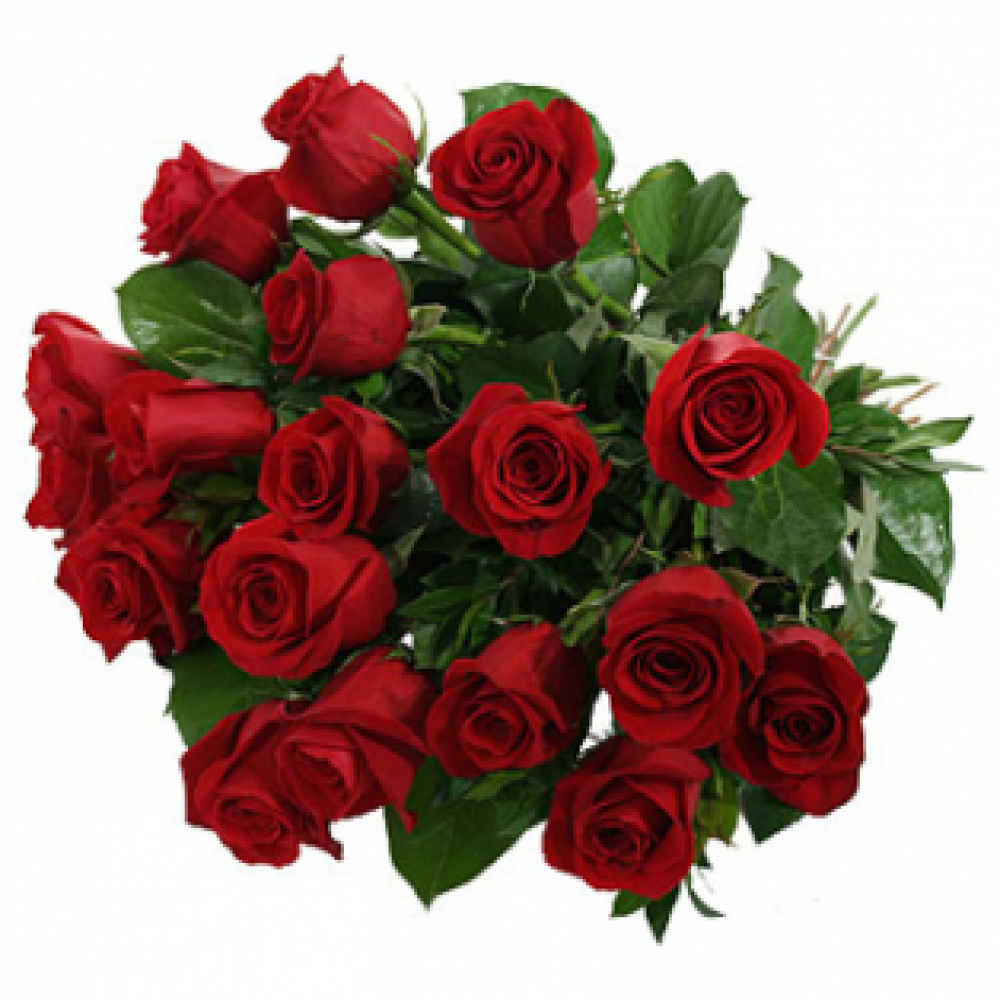 Luxury Red Roses