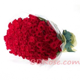 Christmas Roses