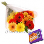 Colorful Gerberas