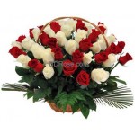 Bunch of 50 red & white rose