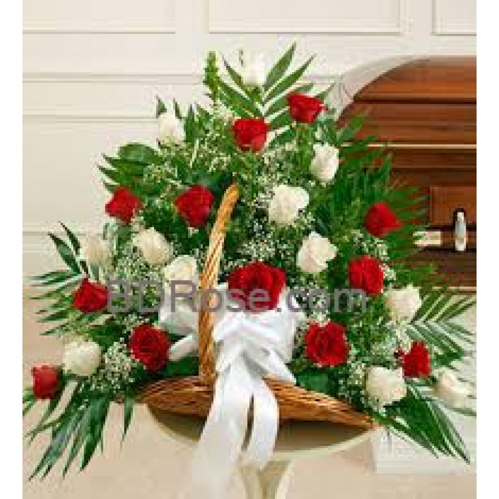 24 bold Red & white roses basket