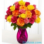 Multicolor roses in a vase