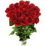 Enigmatic Red Roses