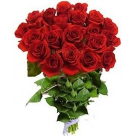 Enigmatic Red Roses