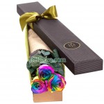  3 pcs Rainbow Rose in a box