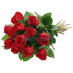 12 Red Roses 