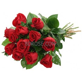 12 Red Roses