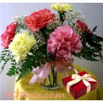 Colorful Carnations