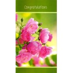 Congratulations Card