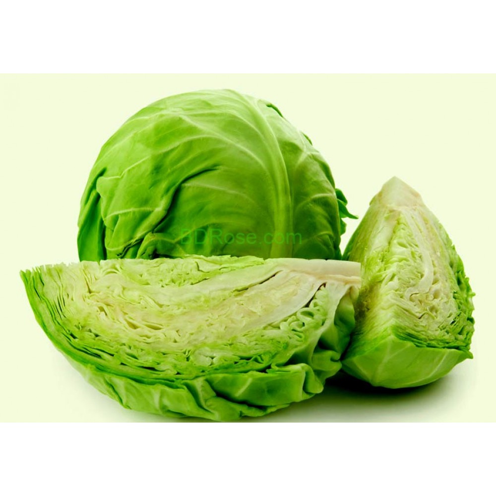 Cabbage (Badhacopi) 2pcs