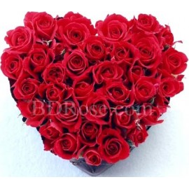 50pcs heart shape red roses