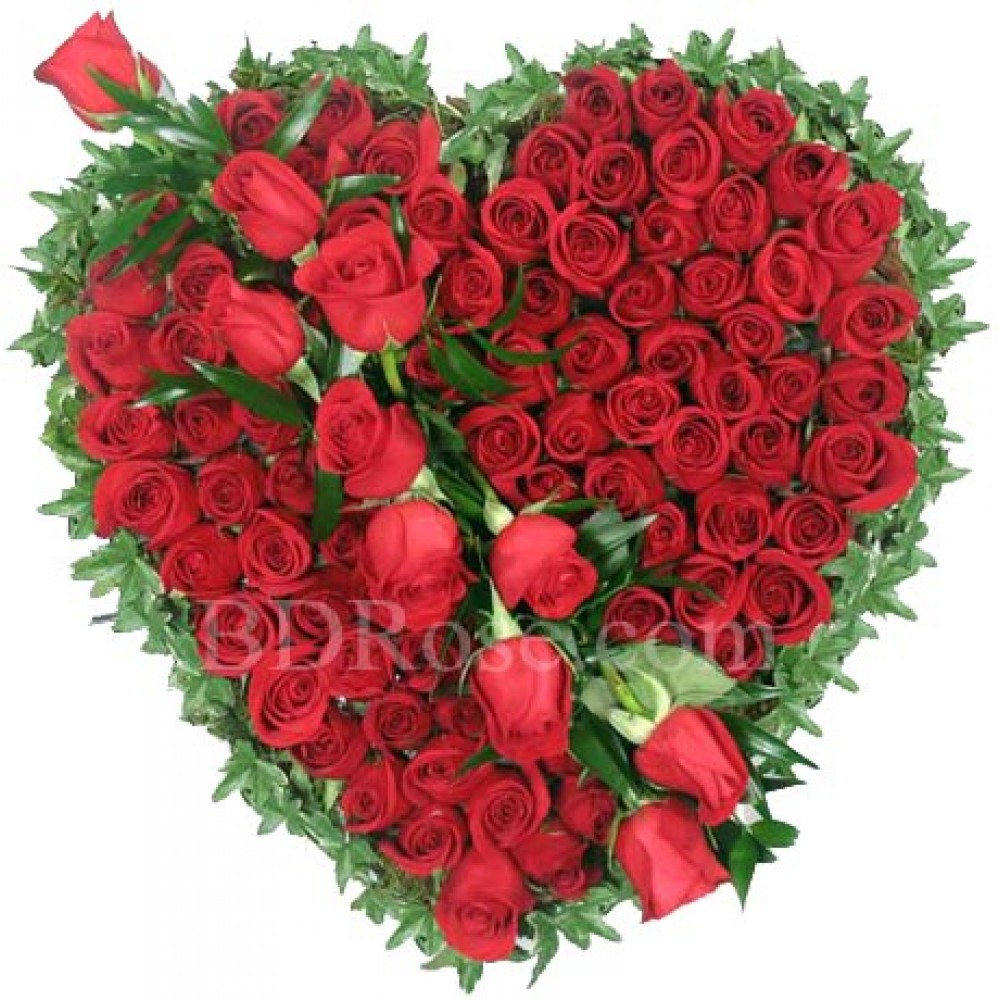 100 pcs red roses in a basket 