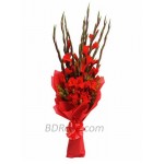 1 Dozen Gladiolus in Bouquet