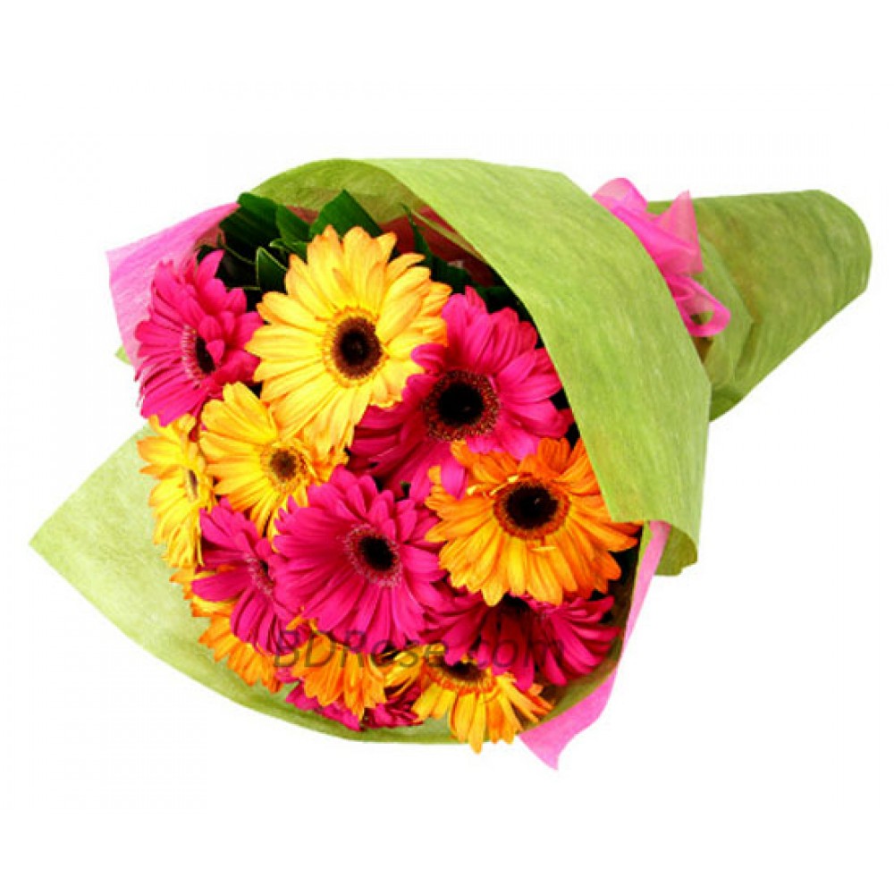 12pcs Mixed Gerbera Bouquet