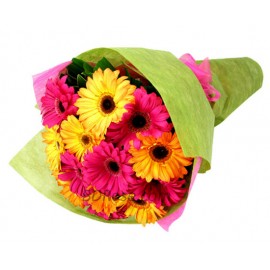 12pcs Mixed Gerbera Bouquet