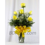 Imported half dozen yellow Rose in a Vase