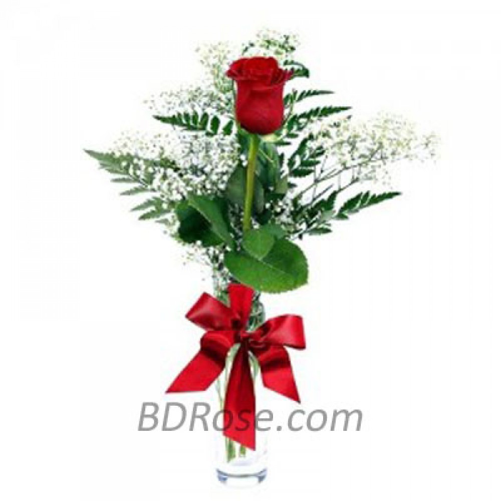 Imported single Red Rose in a vase