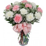 12 Pieces Mixed Carnations in a vase