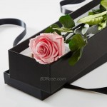 Imported single Pink Rose in a box