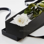 Imported single White Rose in a box