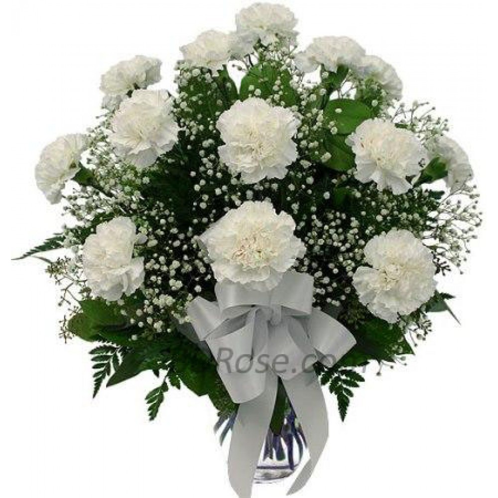 12 pcs White Carnations in a Vase