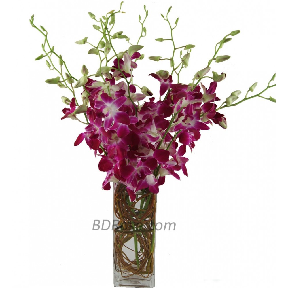 Purple Orchids in a Vase
