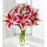 Pink Lilies in a vase