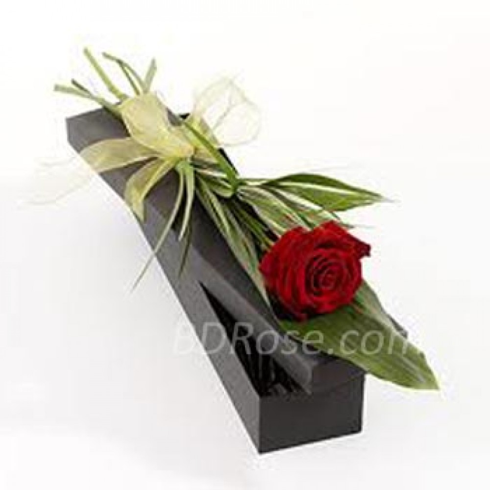 Imported single Red Rose in a box