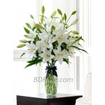 White Lilies in a vase