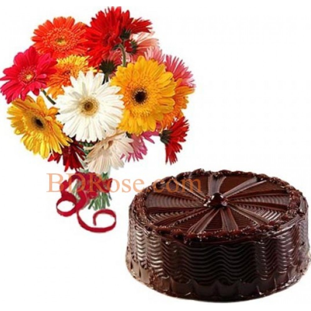 1 Dozen multicolor Gerbera W/ cake