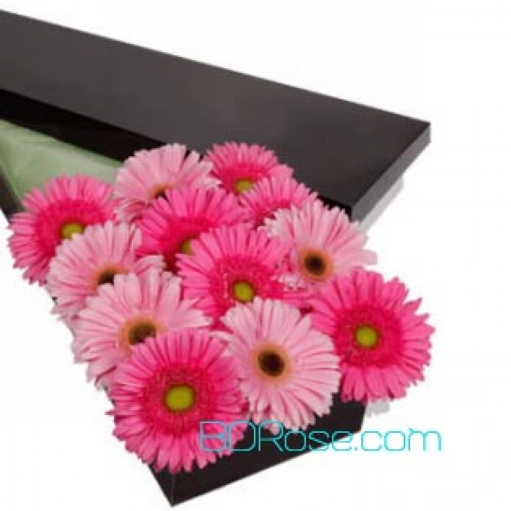 Pink Gerberas Box